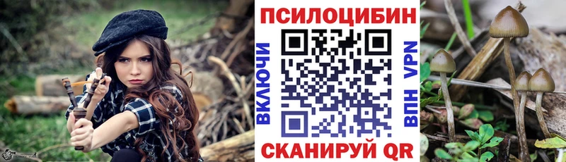 Псилоцибиновые грибы Magic Shrooms  где можно купить   Заречный 