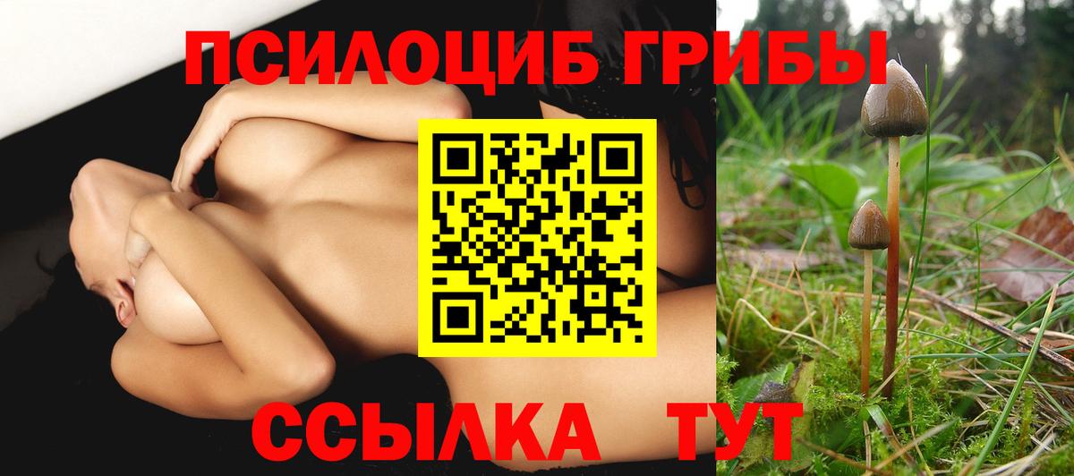 Галлюциногенные грибы Psilocybe  Вход с VPN  как найти   Заречный  Галлюциногенные грибы ЛСД 
