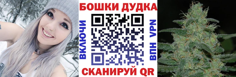 Конопля ГИДРОПОН  МЕГА как войти  Заречный 